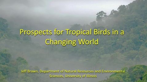 Thumbnail for NRES 500 Fall 2018 - Jeffrey Brawn - Prospects for Tropical Birds in a Changing World