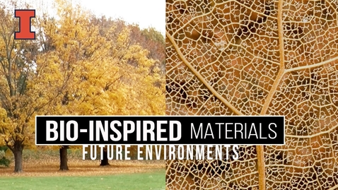 Thumbnail for Future Environments: Bio-Inspired Materials